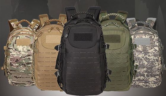 Outdoor-Training Wasserdicht Rucksack mit Molle-System und physiologisch gekrümmten Rücken